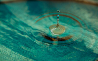 Agua Biopolar: el activo que da vida a Secretos del Agua